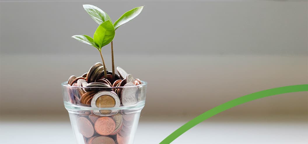 plant with coins for soil in a cup