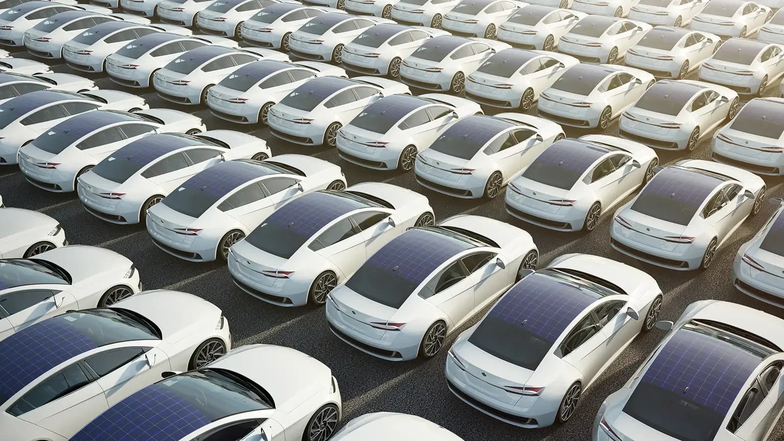 A fleet of Electric Vehicles