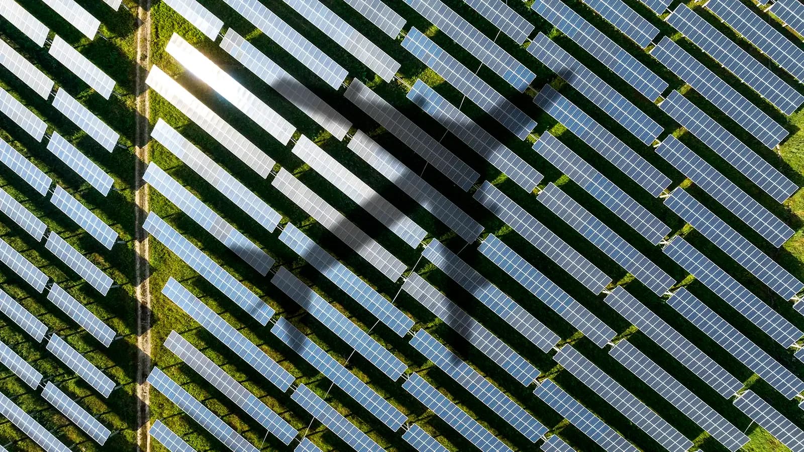 A shadow of a plane over a solar farm