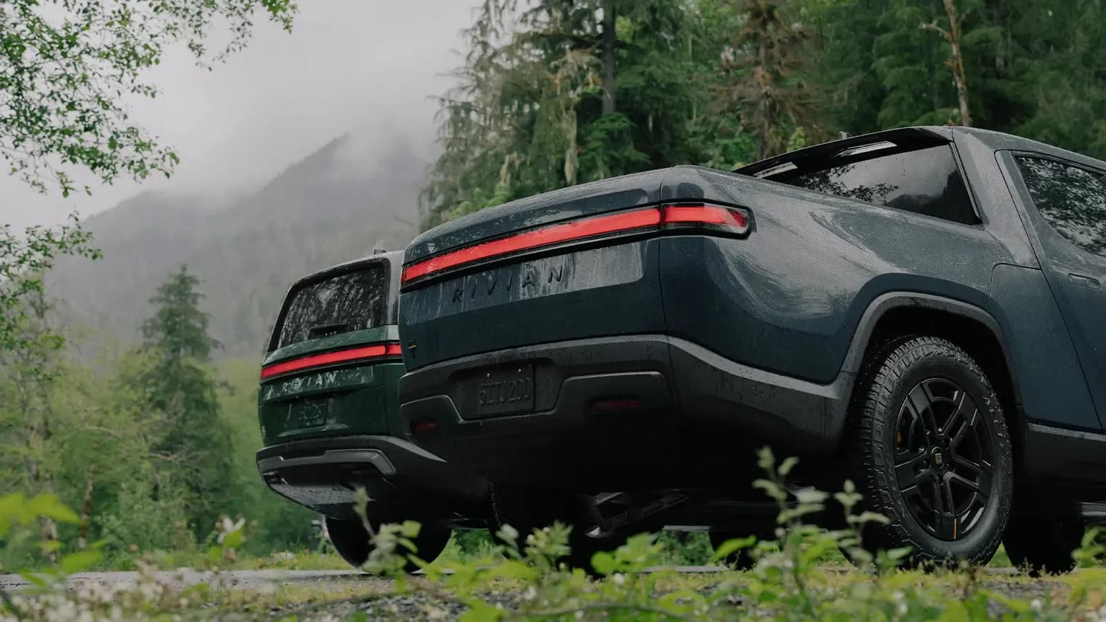 Rivian R1S and R1T parked in a tree covered landscape