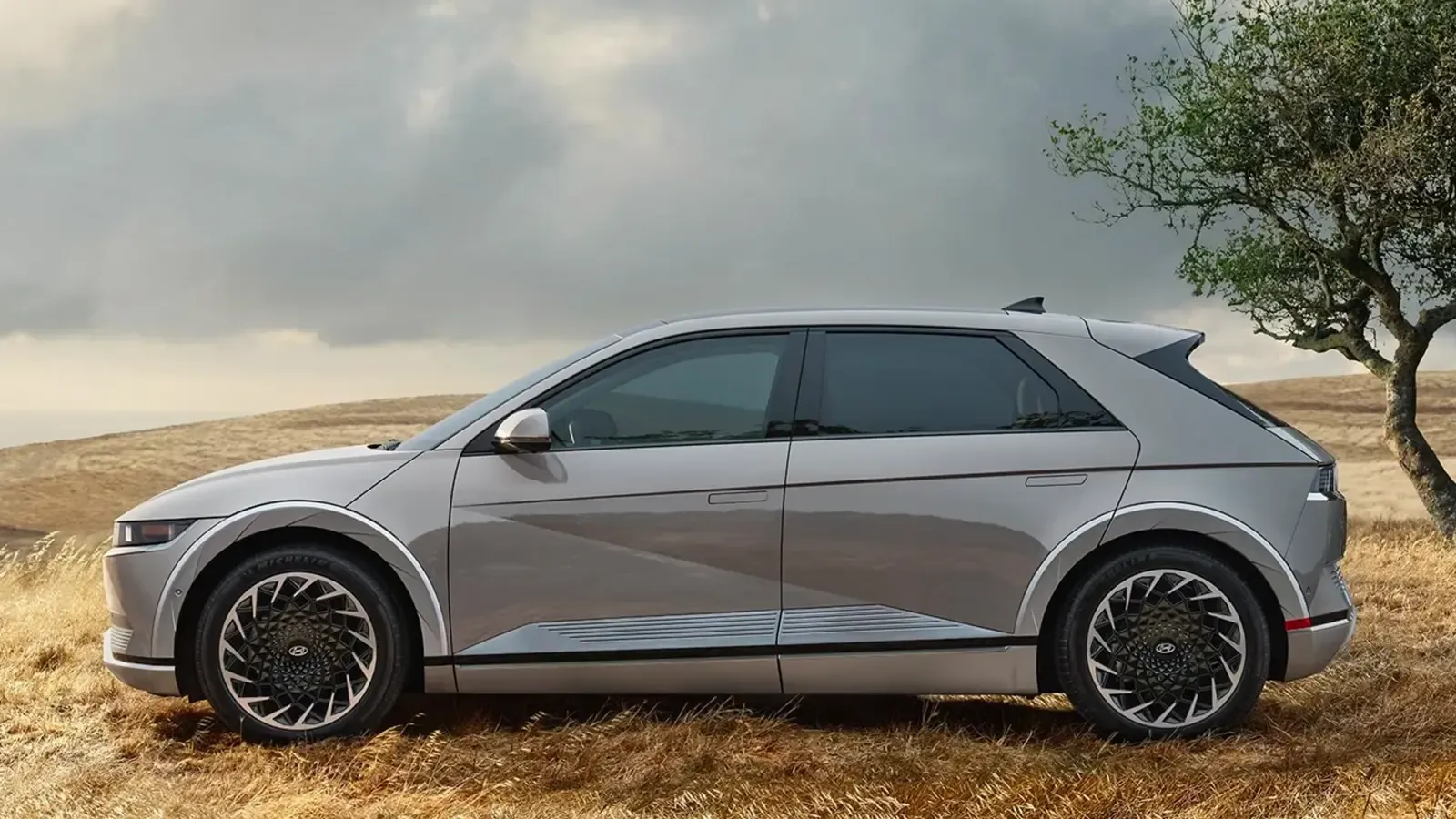 Hyundai Ioniq 5 side profile exterior view by plains and a tree 