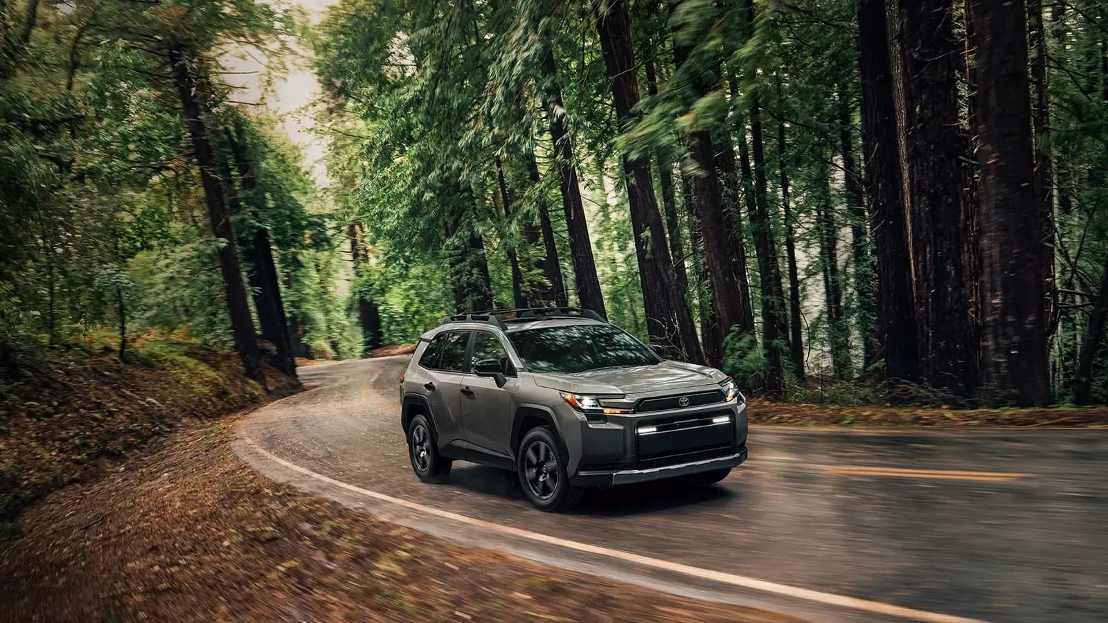 A 2026 Toyota Rav4 Woodland edition in the forest