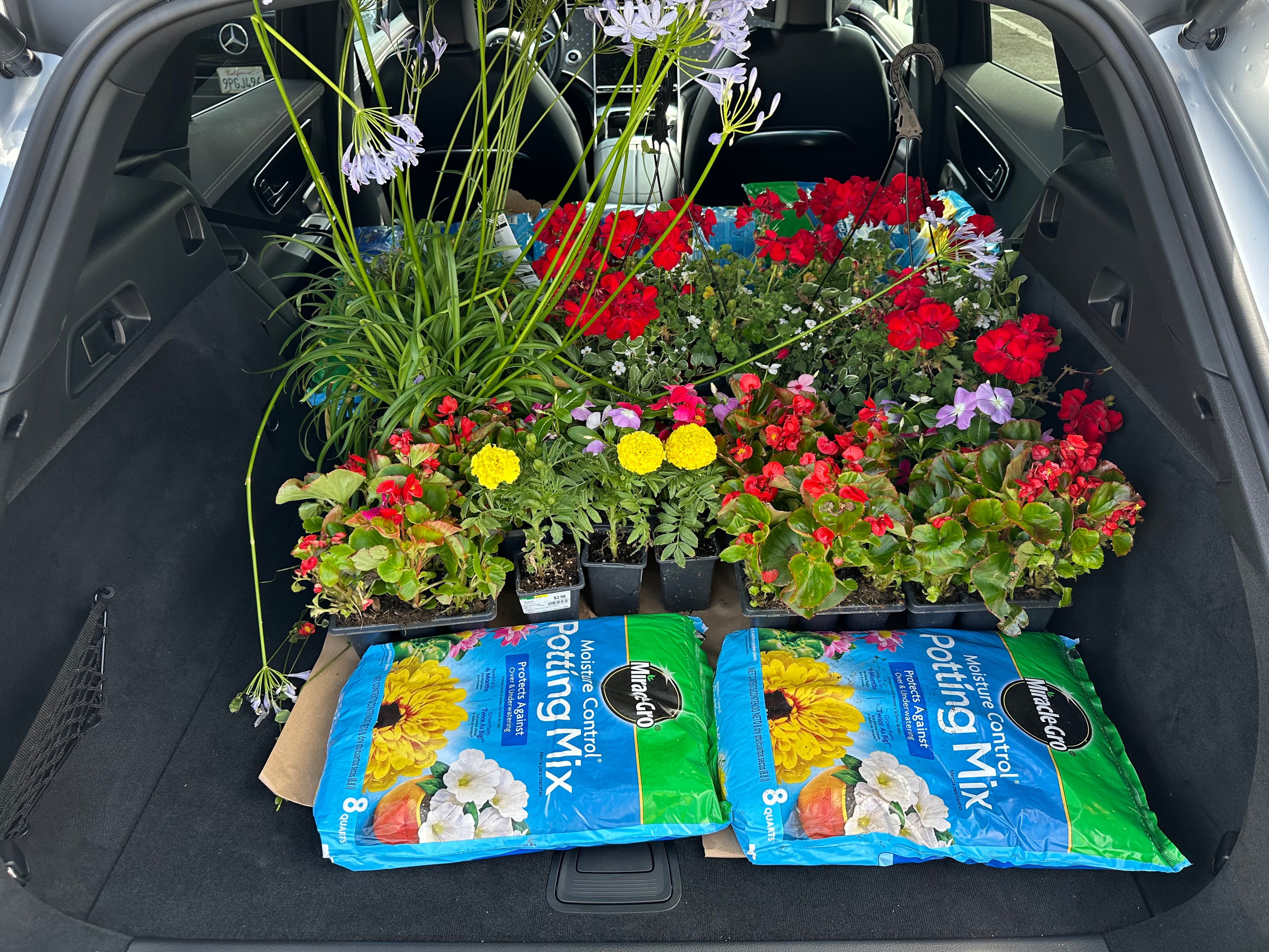Rear cargo area of a Mercedes-Benz EQE SUV packed with flower pots and potting mix bags.