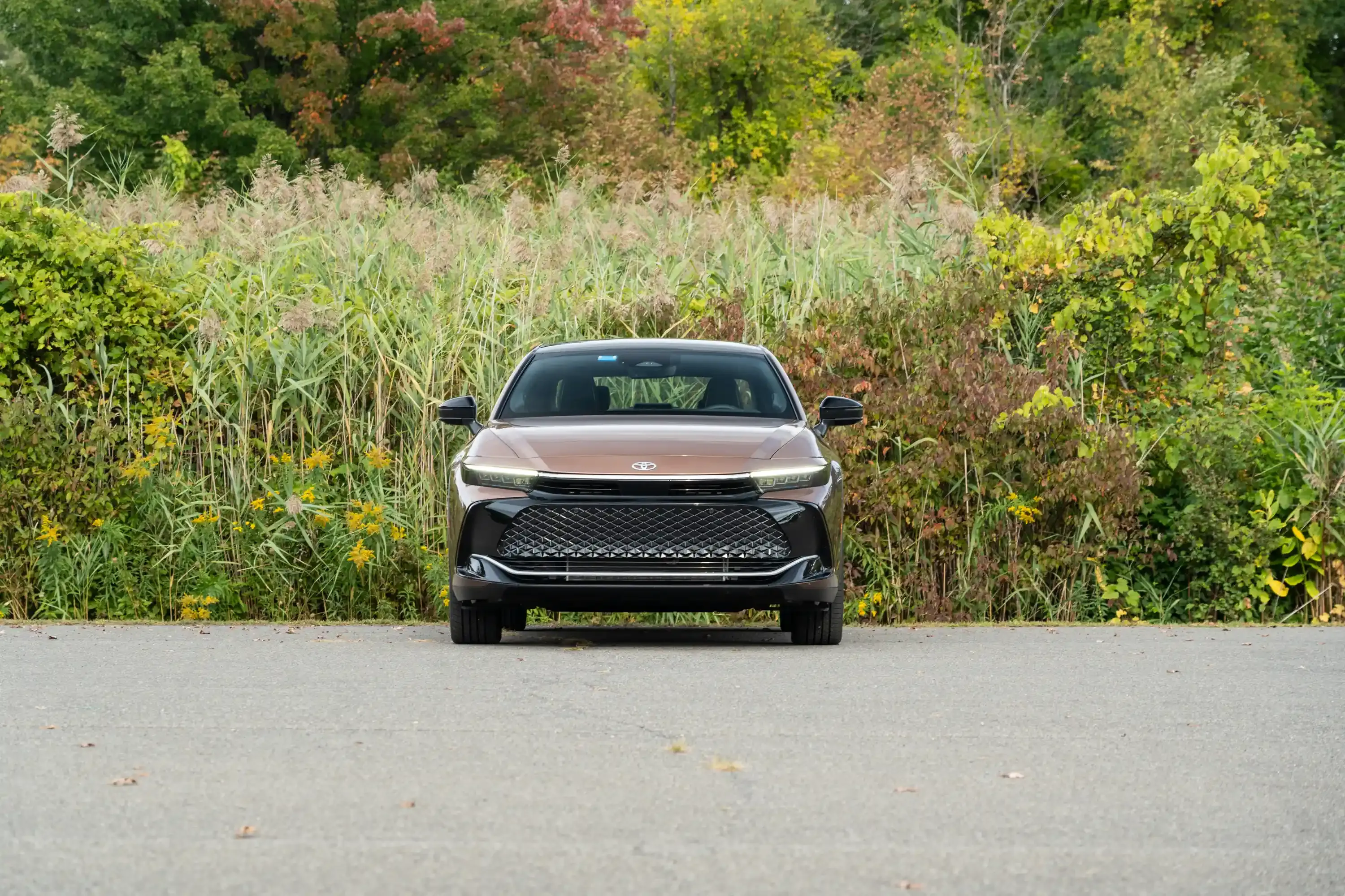 Front view of a brown sedan parked on a road with tall grass behind it.