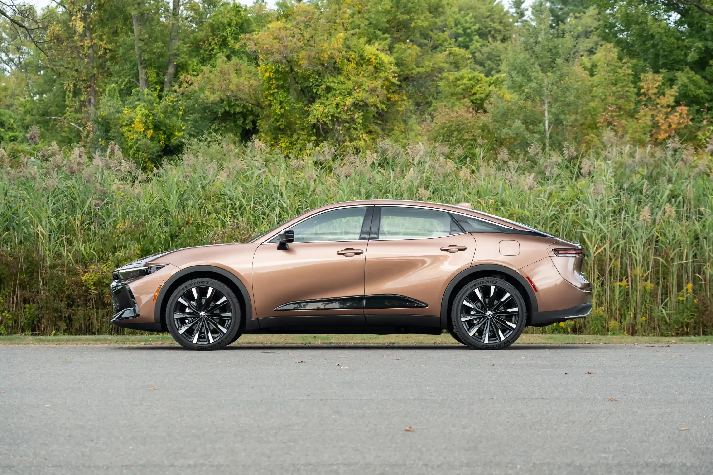 Side profile of a bronze Toyota Crown sedan parked by tall grass.