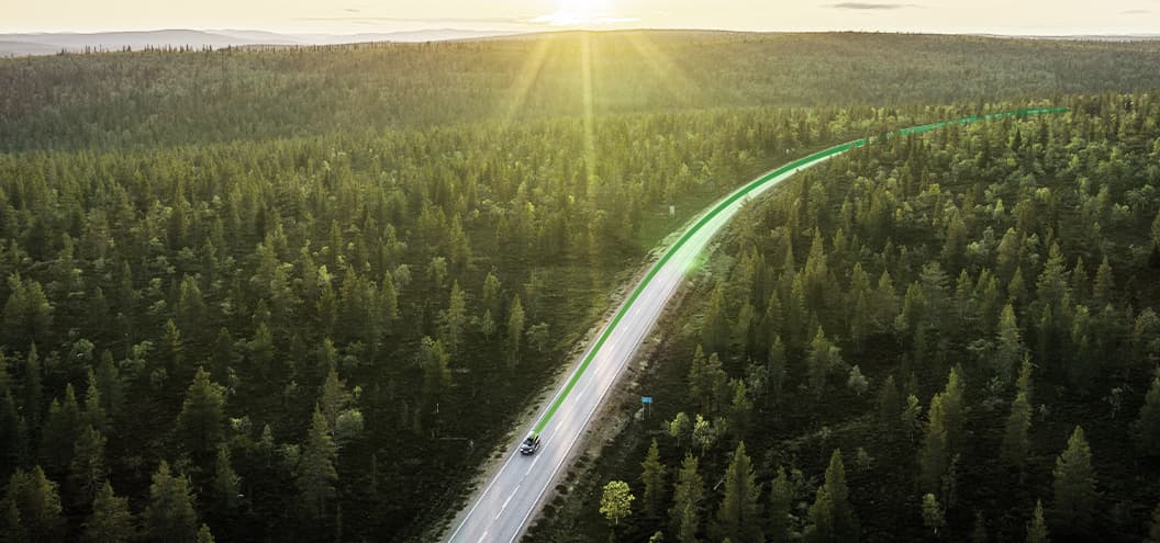 car driving on road surrounded by forest
