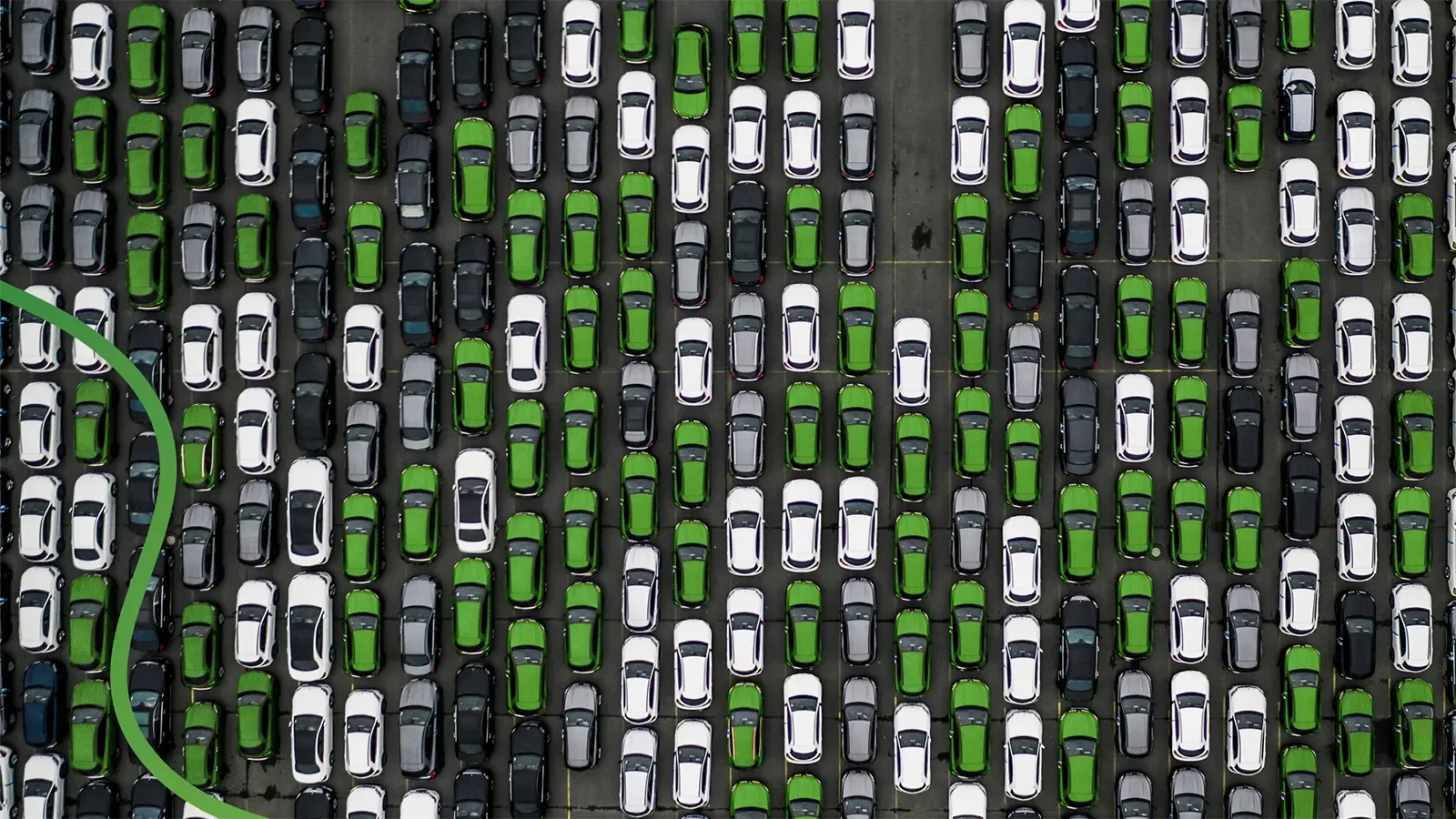 A full lot of cars with a focus on the green cars dotted throughout
