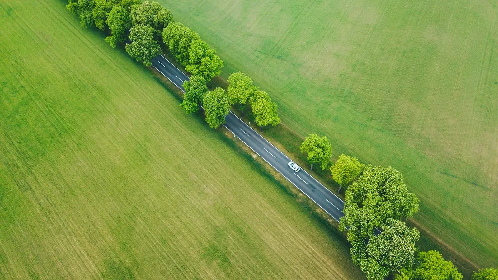 Hybrid car driving down tree lined road, country