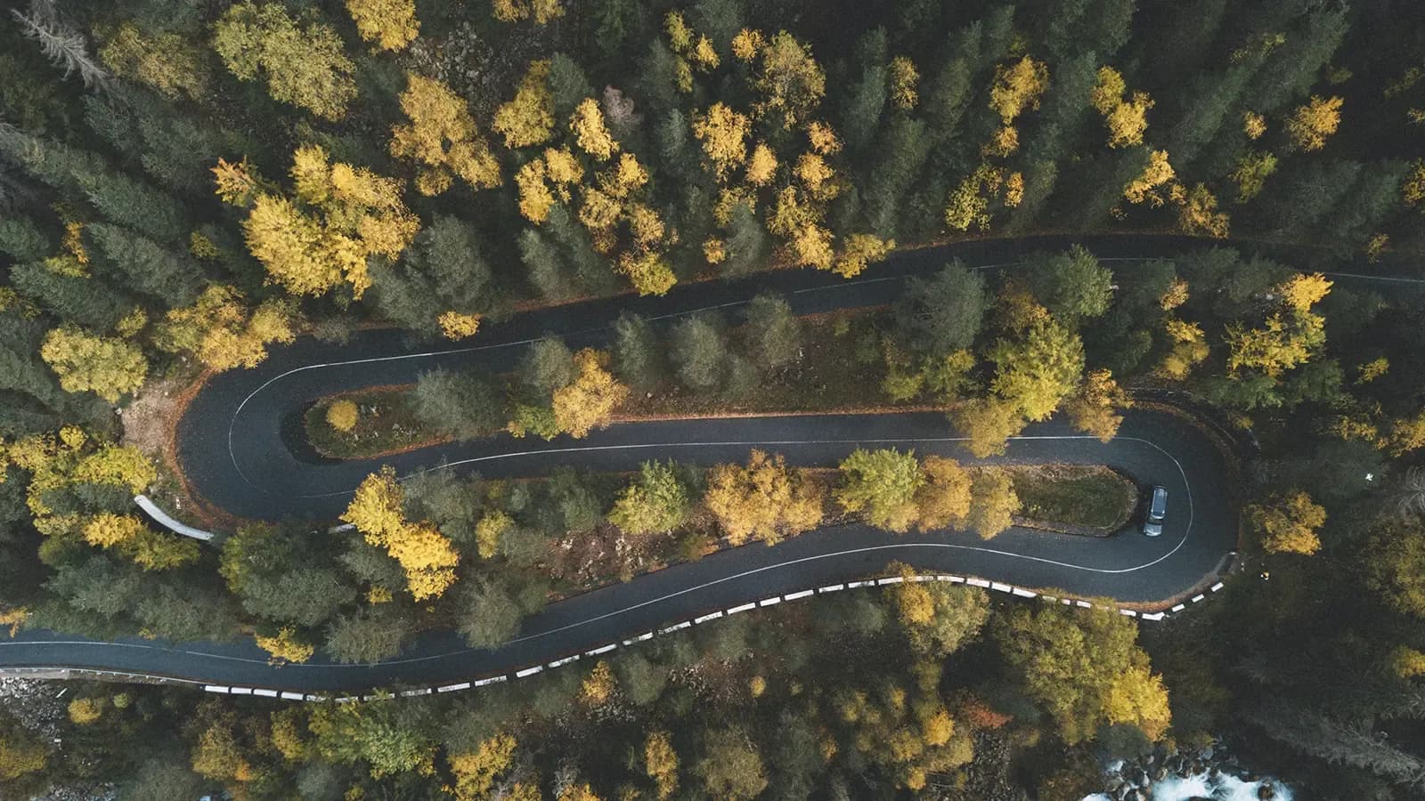 Car driving down a winding autumn road