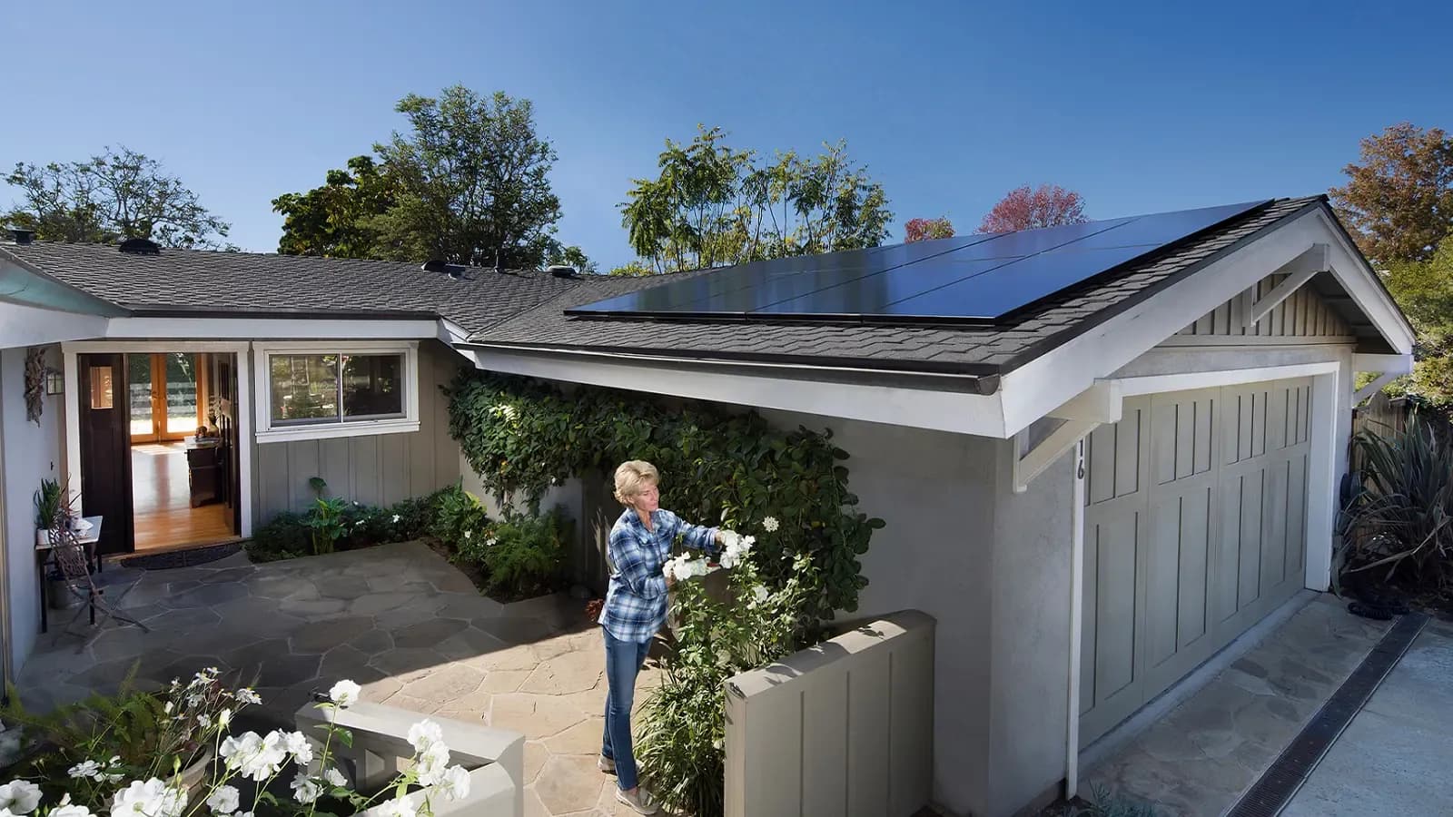 Woman triming rose bush in front of home with solar panels