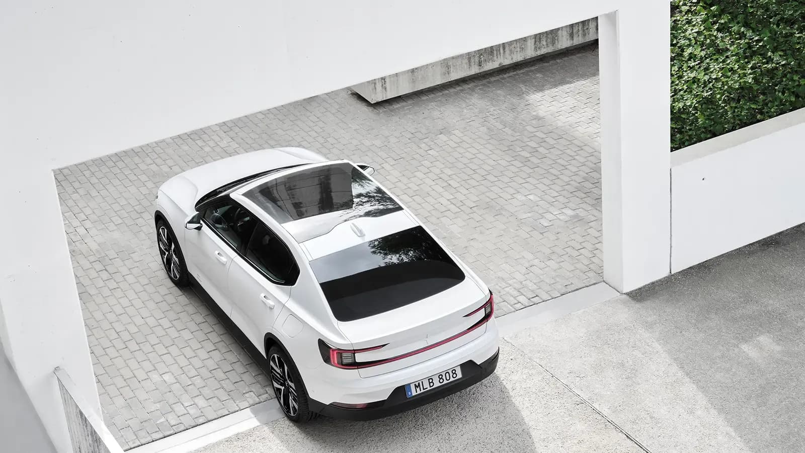 White Polestar 2 bird