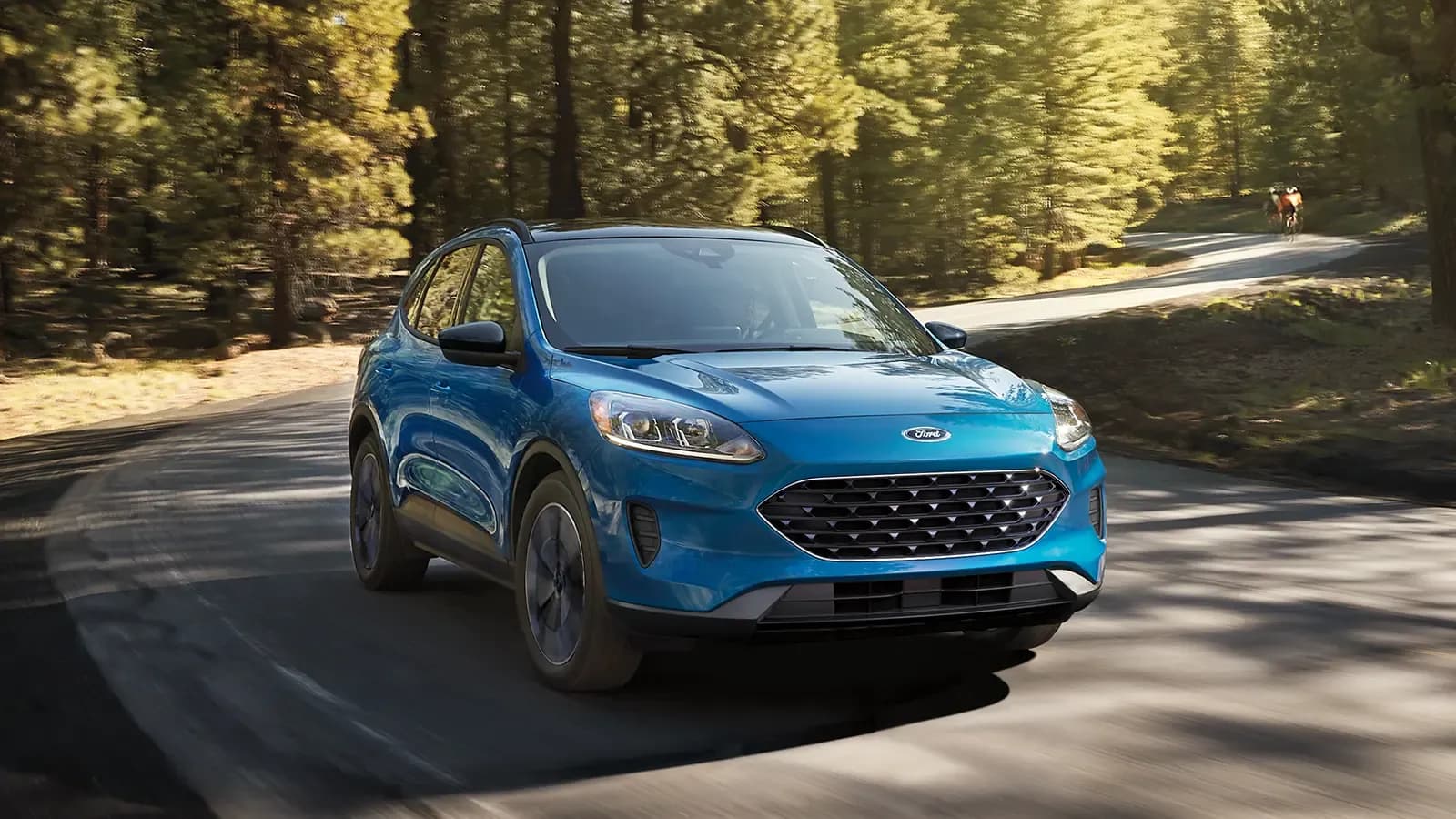 Ford Escape PHEV in Forest