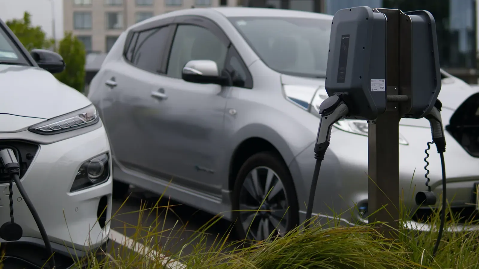 electric cars plugged into public EV chargers