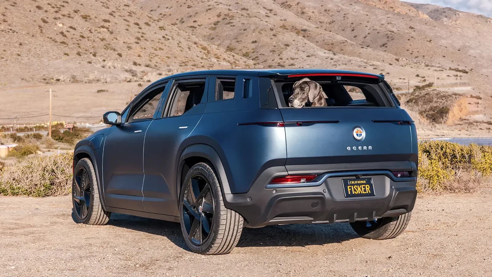 Dog in trunk of parked Fisker Ocean SUV