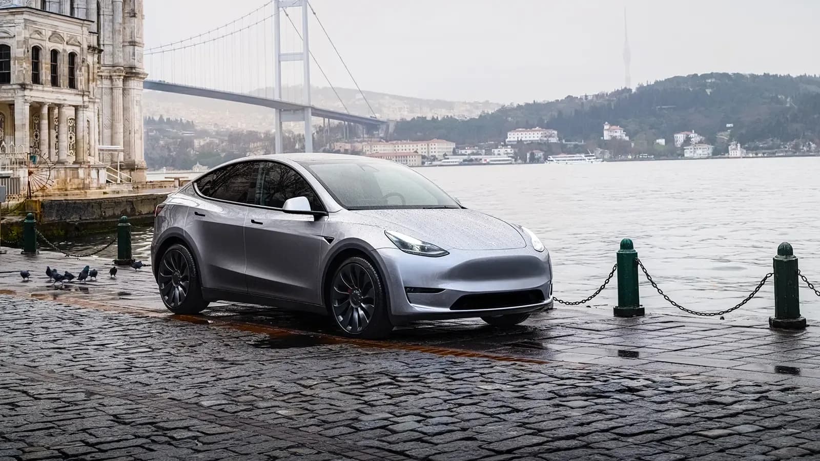 Tesla Model Y parked on a city road