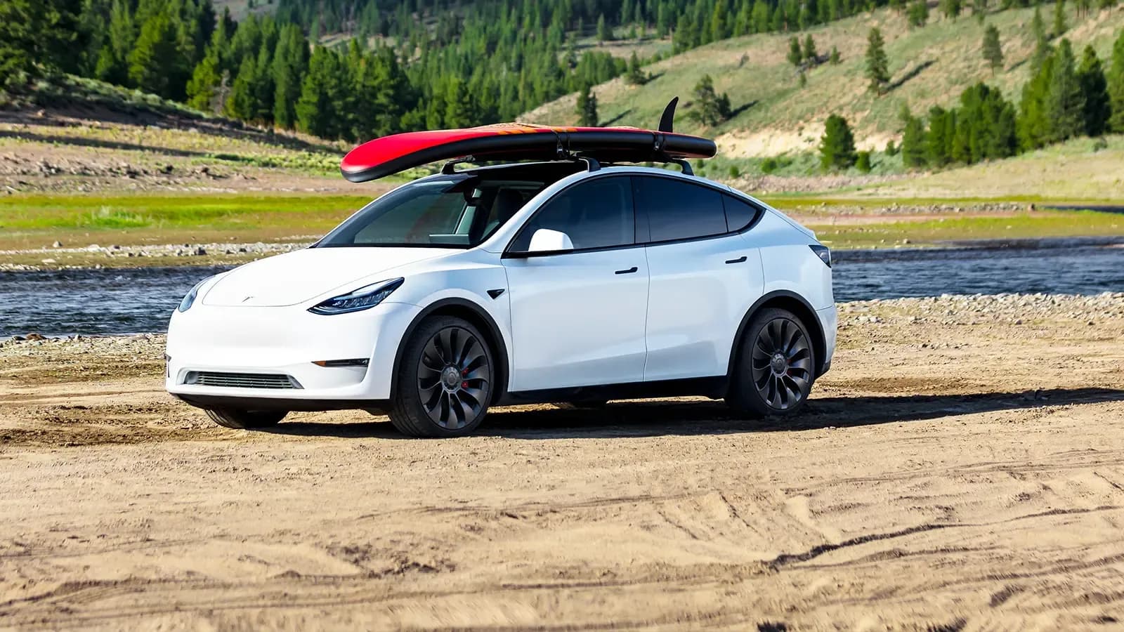 Tesla Model Y in white by a forest