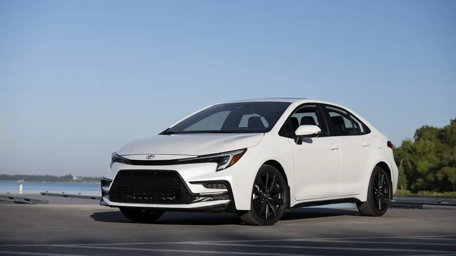 Toyota Corolla parked near water