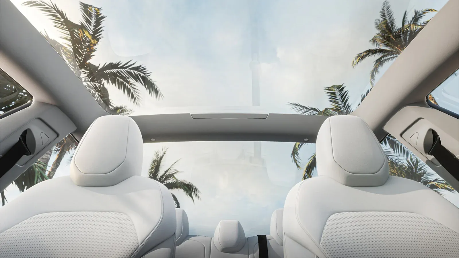 Model 3 Highland sunroof view with palm trees outside
