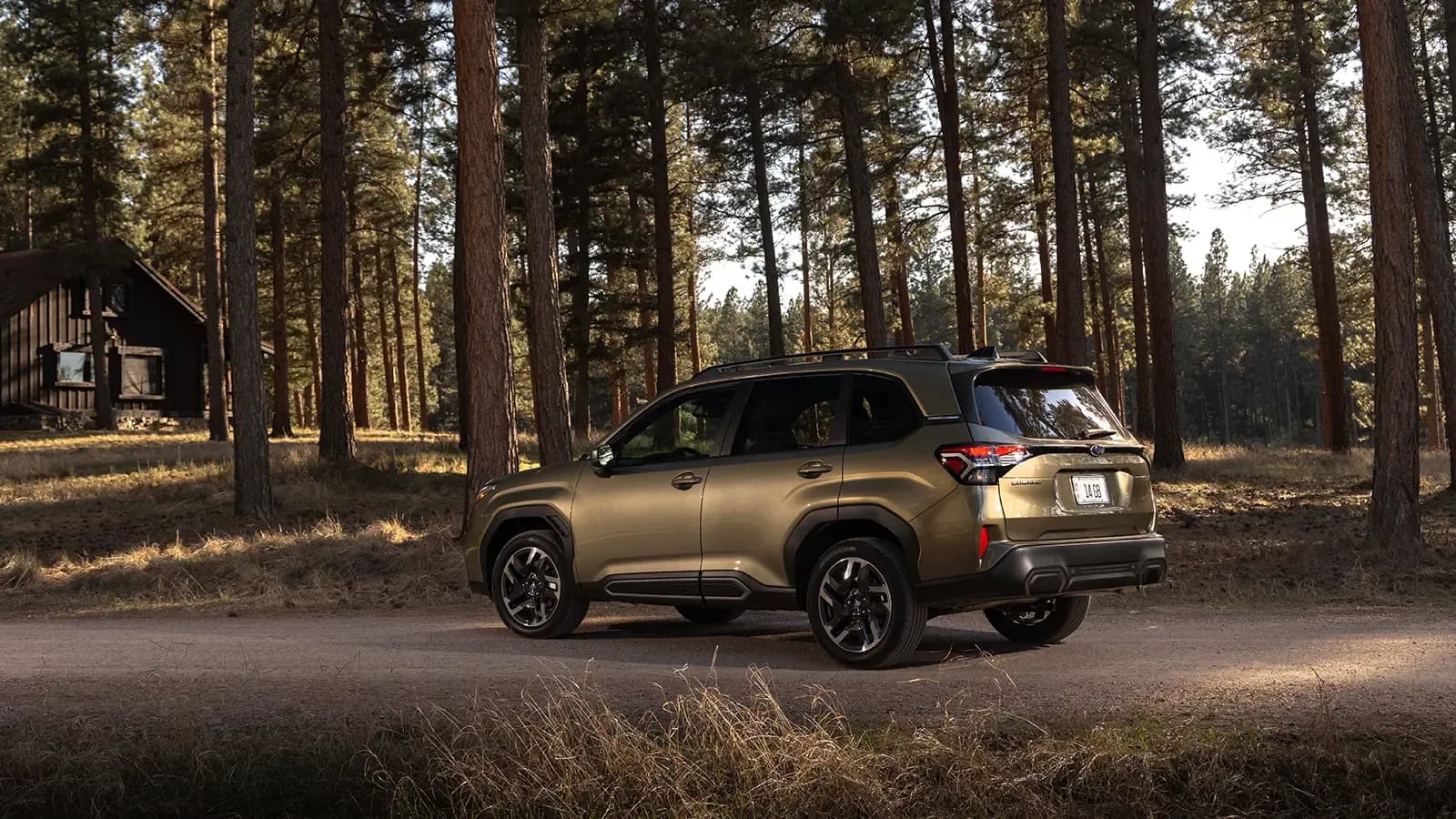 A 2025 Subaru-Forester in the forest