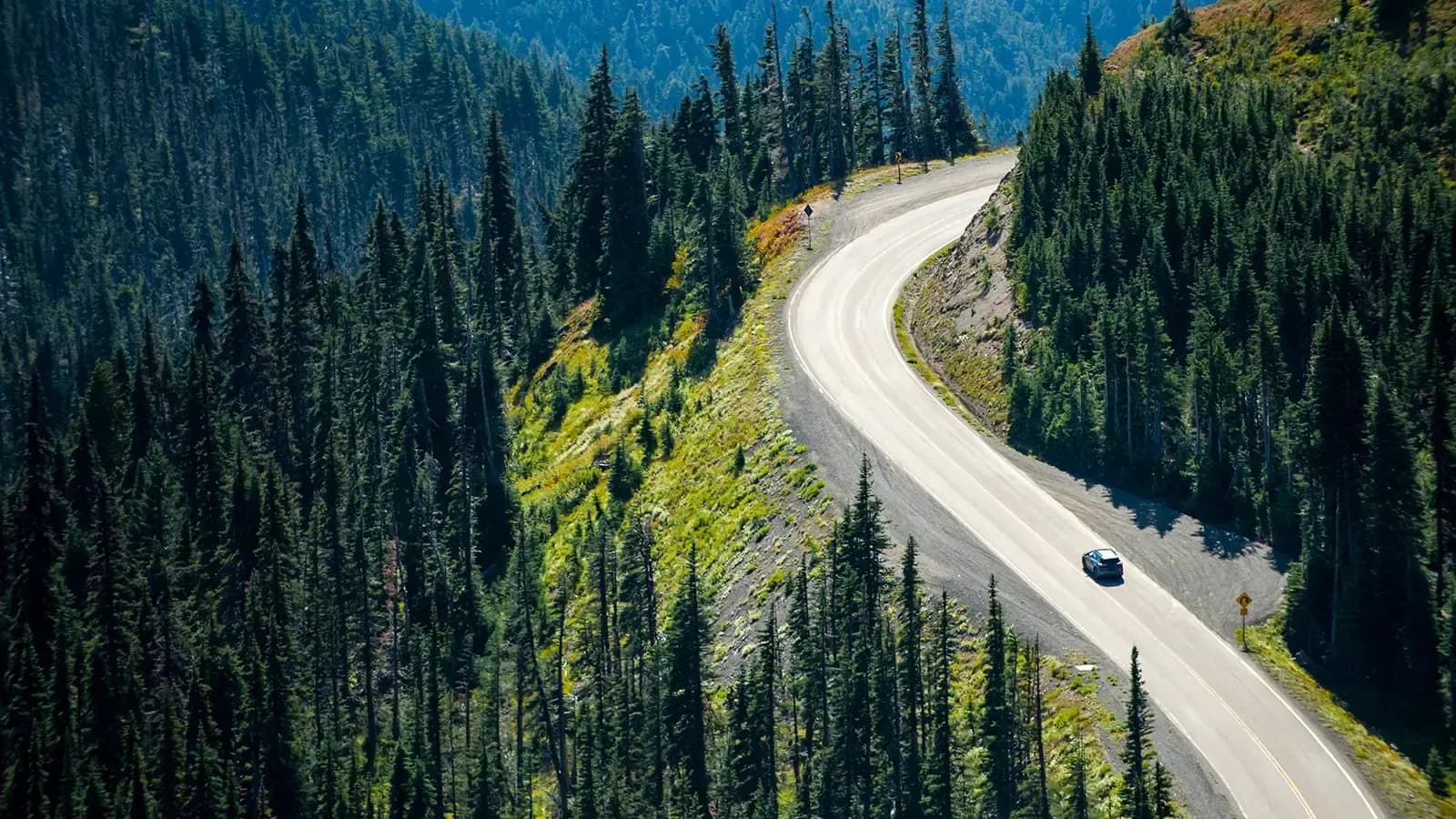 Car driving up a mountain overlooking a scenic forest