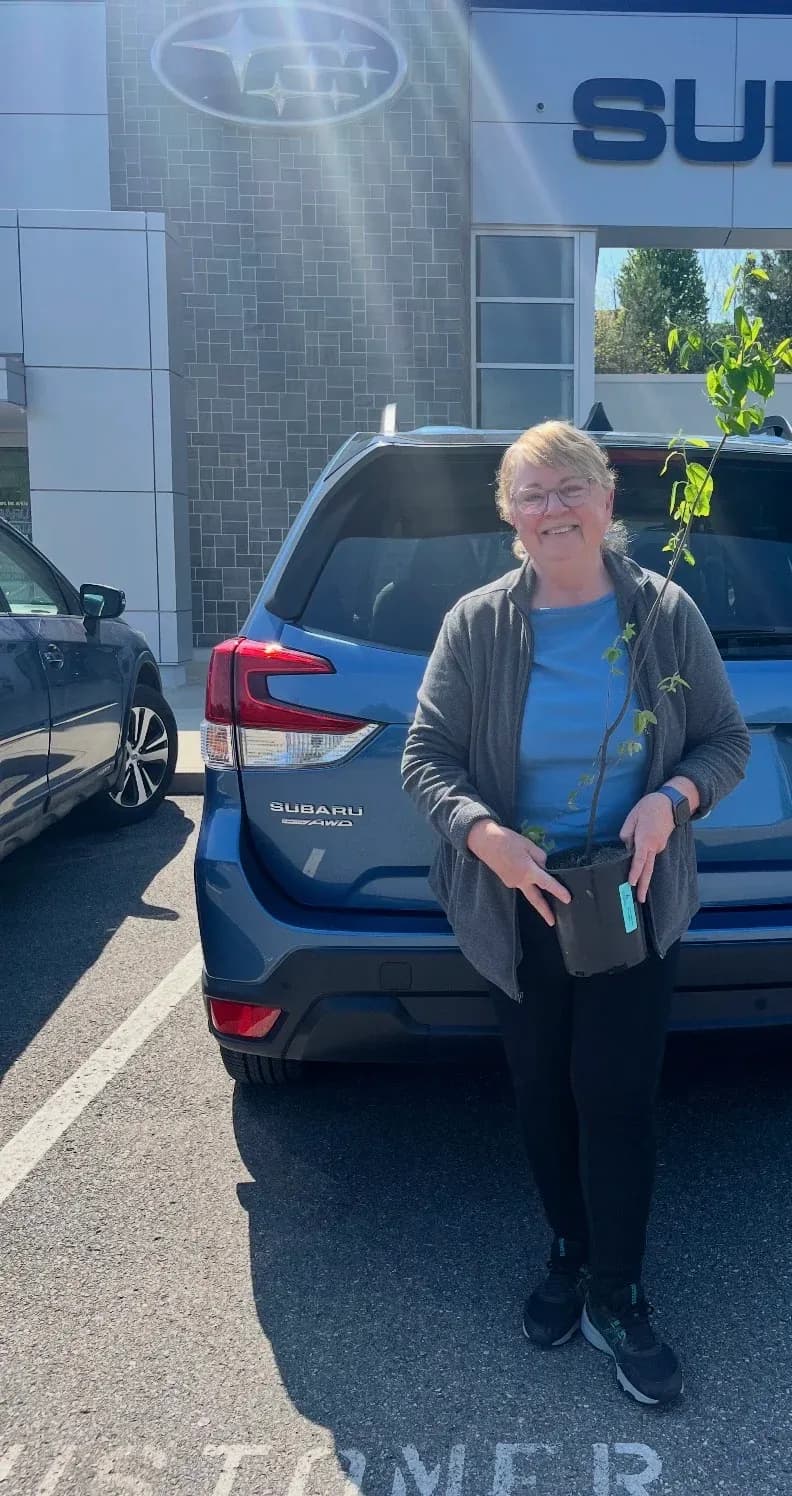 Rear view of a blue Subaru SUV with a person holding a potted sapling.